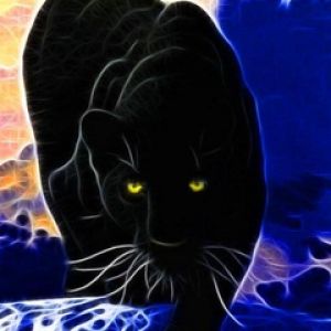 Mystischer Schwarzer Panther