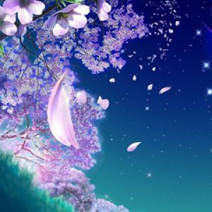 Schöne Kirschblüten-Nacht