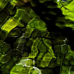 Abstrakte Grüne Wasserreflexion