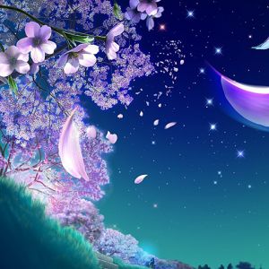 Traumhafte Nachtblüte