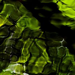 Abstrakte Grüne Naturmuster