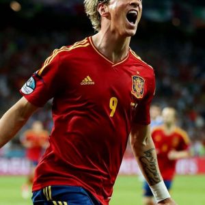 Fernando Torres Feiert ein Tor