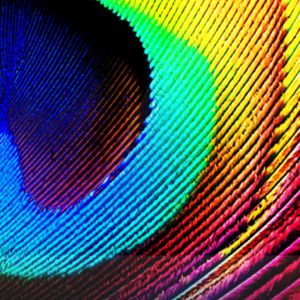 Lebendige Regenbogenmuster