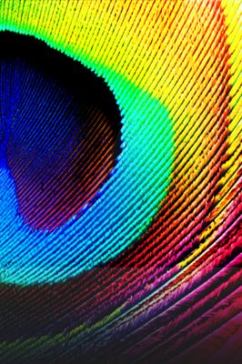 Lebendige Regenbogenmuster