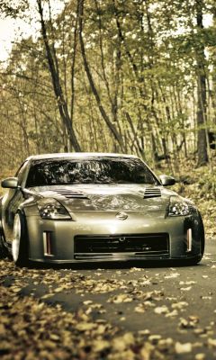 Nissan 350Z im Herbst