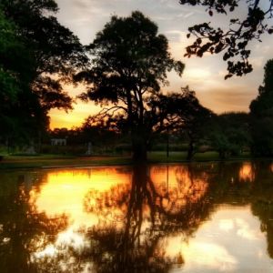 Sonnenuntergangsreflexion in der Natur