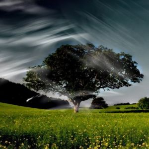 Ruhige Nachtlandschaft
