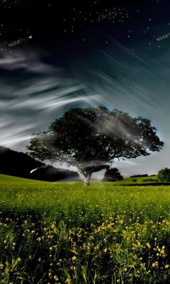 Ruhige Nachtlandschaft