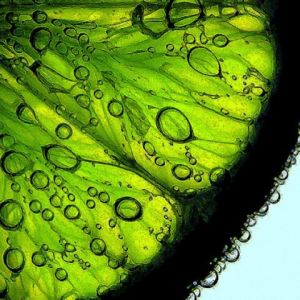 Frische Limettenscheibe mit Blasen