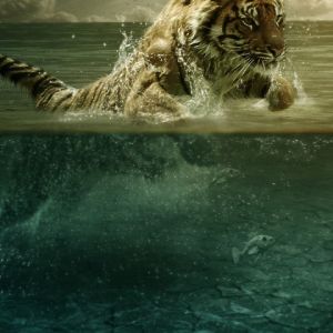 Tiger schwimmt im Wasser