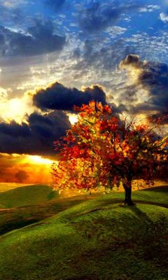Herbstlandschaft bei Sonnenuntergang