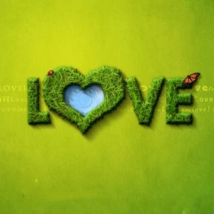 Grünes Herz Liebe