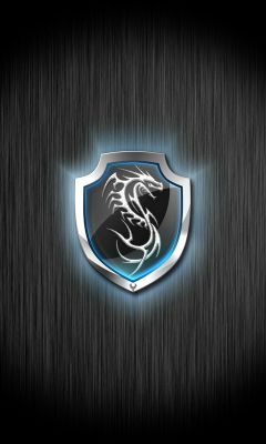 Drachen Schild Logo