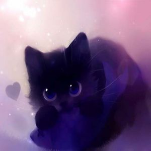 Niedliche Schwarze Katze