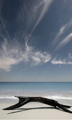 Ruhige Strandlandschaft