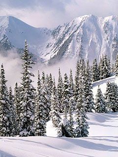 Schneebedeckte Berglandschaft