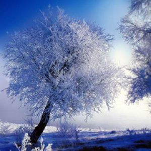 Frostige Winterlandschaft