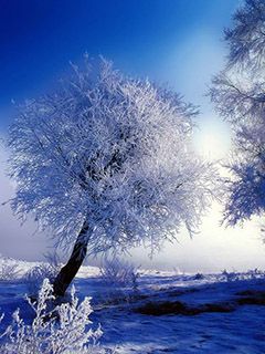 Frostige Winterlandschaft