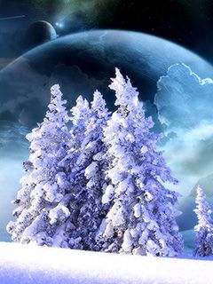 Verschneite Bäume Unter einem Kosmischen Himmel