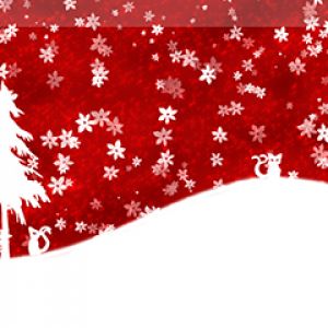 Winterliche Weihnachtslandschaft