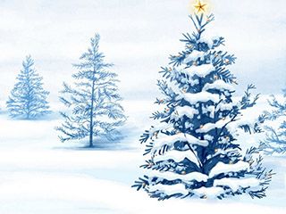 Verschneite Weihnachtsbäume