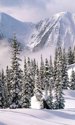 Verschneite Berglandschaft
