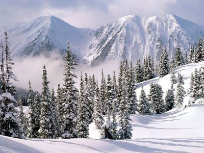 Schneebedeckte Berglandschaft