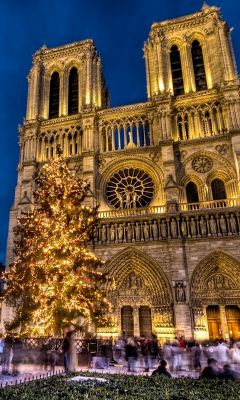 Weihnachten an der Kathedrale Notre Dame