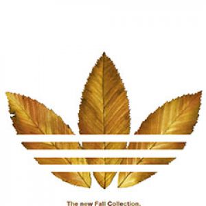 Adidas Herbstkollektion Blätter