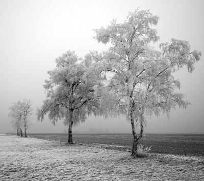 Frostige Winterlandschaft