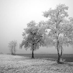 Frostige Winterlandschaft