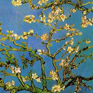 Mandelblüte von Van Gogh