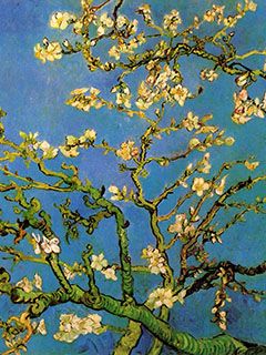 Mandelblüte von Van Gogh