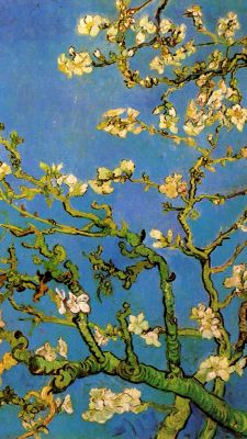 Mandelblüte von Vincent van Gogh
