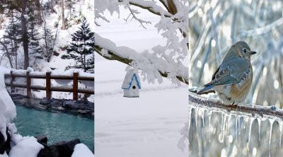 Winterlandschaft