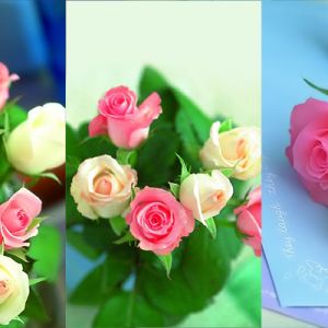 Schöner Rosenstrauß