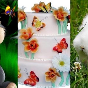 Niedliche Kaninchen und Schmetterlingstorte