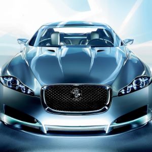 Jaguar Hintergrundbild