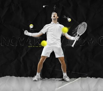 Novak Djokovic Tennis Champion