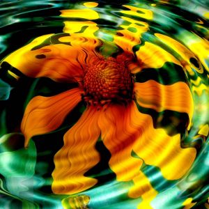 Lebendige Blumenreflexion