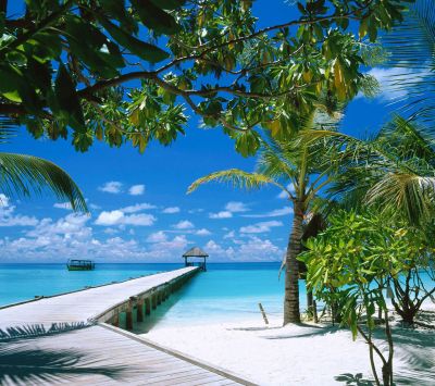 Tropisches Strandparadies