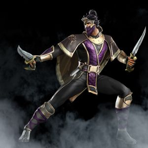 Ninja Krieger