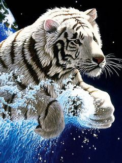 Majestätischer Weißer Tiger