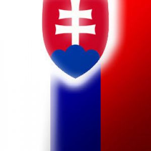 Design der Slowakischen Flagge