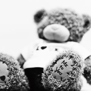 Süßer Teddy Bär Liebe
