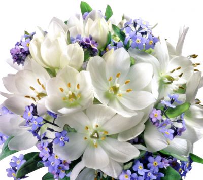 Schöne weiße und lila Blumen