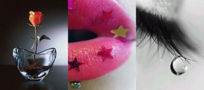 Rose, Lippen und Träne