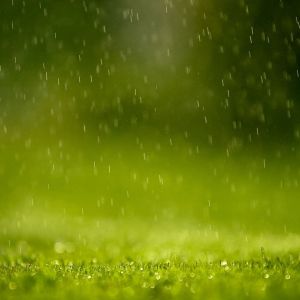 Regen auf Grüne Wiese