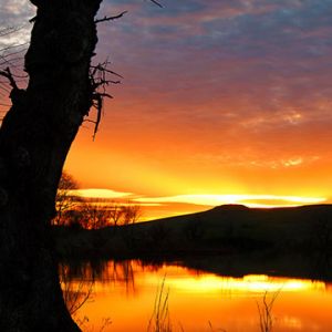 Beeindruckende Reflexion des Sonnenuntergangs