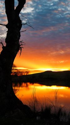 Beeindruckende Reflexion des Sonnenuntergangs